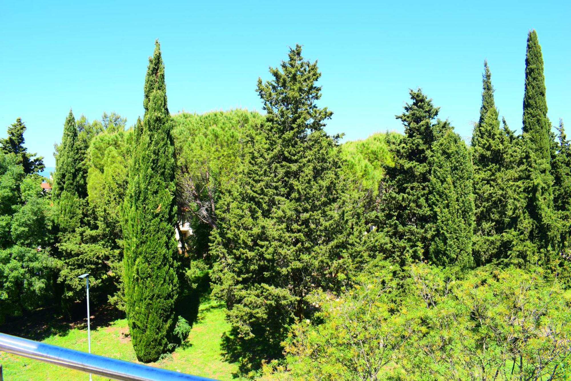 מאלינסקה Apartments Milica מראה חיצוני תמונה